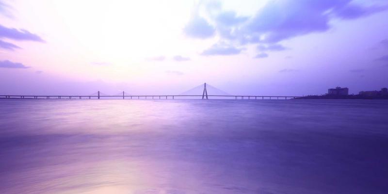 从手工到智能：河北宏兴皮革的数字化革命如何重塑真皮加工的未来