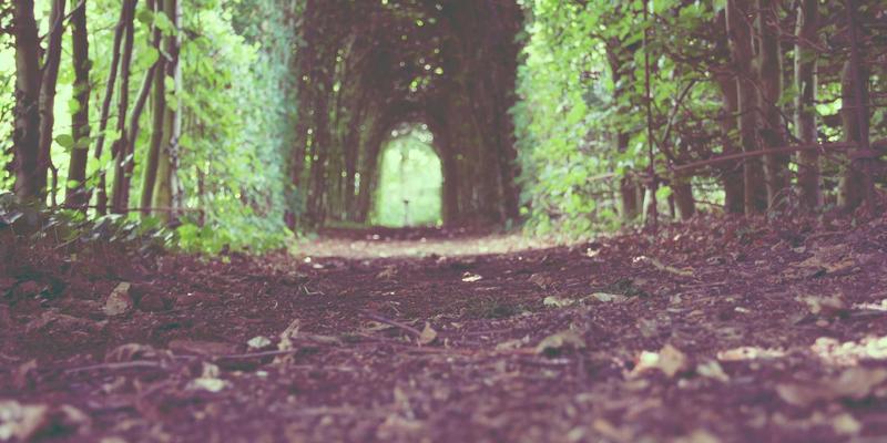 从河北宏兴皮革看中国皮革产业集群化：真皮供应商的转型与机遇