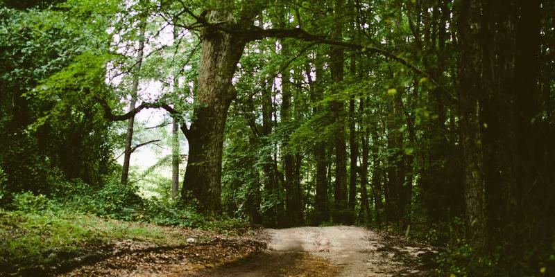 从皮革供应商到绿色先锋：河北宏兴皮革的碳中和路线图深度解析