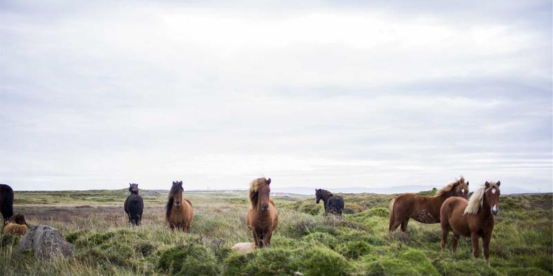 河北宏兴皮革:精益生产如何破解真皮加工高损耗难题,实现成本与品质双赢?